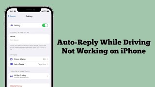 Driving Focus AutoReply Not Working on iPhone iOS 17 Fixed [upl. by Otina]