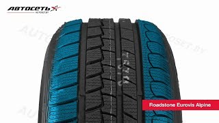 Обзор зимней шины Roadstone Eurovis Alpine ● Автосеть ● [upl. by Brander740]