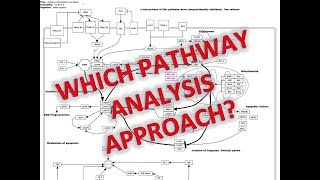 3 Approaches to Pathway Analysis [upl. by Lala582]