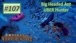 Empires of the Undergrowth 107 Epic Uber Hunt With Big Headed Ant [upl. by Ellennod959]