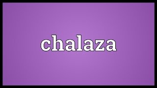 Chalaza Meaning [upl. by Alleahcim513]