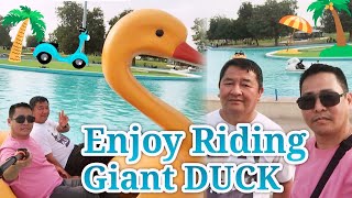 ENJOY RIDING GIANT DUCKS satisfying trending viralvideos livestreaming ducks video [upl. by Connelly]