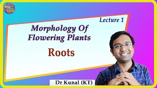 Roots Morphology I NEET I Dr Kunal Tatte KT [upl. by Ishmael302]