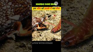 समुद्र का एक सुंदर शिकरी 🤯🫨 Dangerous Predictor Of Sea  shorts facts seasnail dangerousanimals [upl. by Htesil]