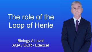 A Level Biology Revision Year 13 quotThe Role of the Loop of Henlequot [upl. by Sunil18]