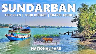 Sundarban Tour Guide Trip Plan Tour Budget Travel Vlog  Sundarbans National Park  Sundarbn Tour [upl. by Trebeh]