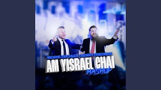 Am Yisrael Chai Mashup [upl. by Hestia]