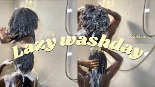 EASIESTLAZY 4C NATURAL HAIR WASHDAY ROUTINE USING ONLY 2 PRODUCTSHOW TO WASH NATURAL HAIR [upl. by Bluefarb300]