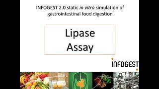 Lipase Activity Assay for the INFOGEST 20 Method for Food 2019 update in Nature Protocols [upl. by Ysak]