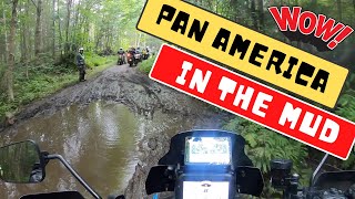 Taking my HD Pan America through some serious mud offroad [upl. by Ashil]