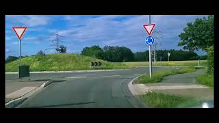 Steinfurt To Westfalen Germany Drive 4K Part 1 [upl. by Junji]