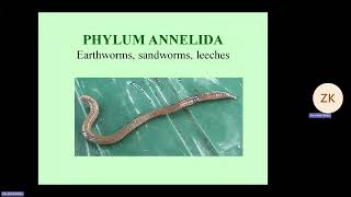 Phylum of Worms  Biology 1st Year Chapter 10  Professor Zia Ul Haq  Unique LDA [upl. by Krystalle919]