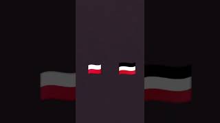 Polan and Germany ☠️☠️ countryballs [upl. by Sekoorb426]