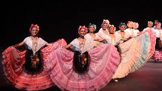 Jaquetón Aguanieve y Zapateado Ballet Folklorico de la Universidad Veracruzana [upl. by Engen]