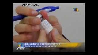 Factor de Transferencia Entrevista [upl. by Krall791]