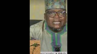 waazi hausa Adua takobin musulmi [upl. by Brina]