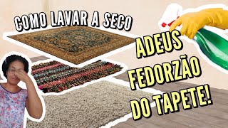 COMO LAVAR TAPETE SEM MOLHAR😍GASTEI MENOS DE 2 REAIS😲LAVAGEM A SECO CASEIRA😀TIRA MOFO E MAU CHEIRO😲😃 [upl. by Anegal178]