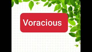 Voracious meaning pronunciation sentences synonyms antonyms [upl. by Fiel]