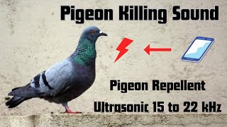 Anti Pigeon Repellents Sound  Keep Pigeons away  Ultrasonic sound 15 to 20Khz pigeon chasepigeon [upl. by Amiarom]