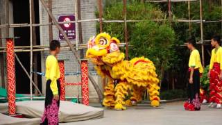 Lion dance in Foshan Guangdong [upl. by Anaerda]