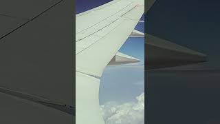 Boeing 787 Wingflex during Heavy Turbulence [upl. by Marston76]