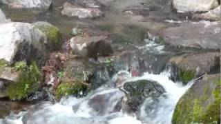 Headwaters of the Sacramento River in the Mount Shasta Park in Mount Shasta City California [upl. by Petronilla]