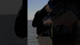 Lake Mille Lacs Fishing fishing bassfishing fishinglife outdoors customfishingrods fish [upl. by Nigle]