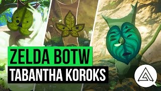 Zelda Breath of the Wild  All Korok Seeds Guide  Tabantha Region [upl. by Ziza]