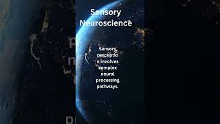 Unveiling the Intricacies of Sensory Perception and Multisensory Integration [upl. by Dulci60]