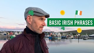 Basic phrases in Irish language [upl. by Ytisahcal]