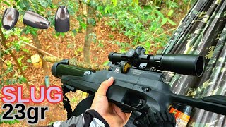 2 ABATES NA CEVA DE PACA CAÇADA TOP DE CUTIA COM AIRGUN ACCURA [upl. by Aihsekal428]