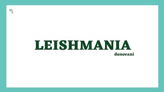 What is Leishmaniasis and Leishmania  Leishmania donovani  Life Cycle Treatment  MEDZUKHRUF [upl. by Rheinlander279]