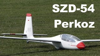 SZD54 Perkoz giant scale RC glider 2018 [upl. by Vyse]