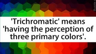 Explanation of the Trichromatic Theory of Color Vision [upl. by Hugues]