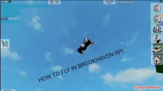 how to fly in brookhaven RP [upl. by Rabjohn]