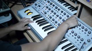 MOOG SUBSEQUENT 37 MOOGFEST EDITION PRESET SOUND DEMO NO EFFECTS AND DIRECT RECORDING [upl. by Ecinue]