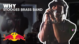 Stooges Brass Band  Why  Live  Red Bull Studios [upl. by Wendye]