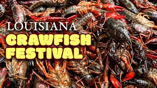 FOOD TOUR Through Louisianas LARGEST Crawfish Festival [upl. by Lahey439]