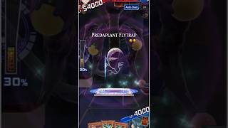 Yuri Voice Lines With Predapractice amp Predaplant Flytrap  YuGiOh Duel Links [upl. by Manoff977]