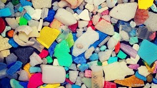 What Are Microplastics And How Are They Harming Our Oceans Plastic Pollution  Behind the News [upl. by Lenoyl509]