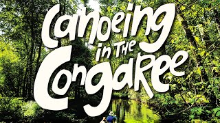 Paddling the Enchanting and Challenging Congaree National Park in South Carolina [upl. by Auhoj]