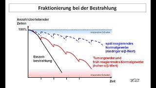 Fraktionierung beim Mammakarzinom  Strahlentherapie Prof Hilke Vorwerk [upl. by Iramaj]