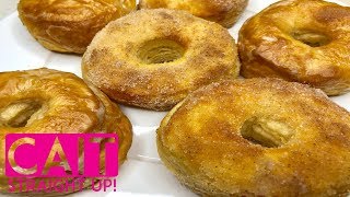 5 Minute Air Fryer Donuts Recipe  Cait Straight Up [upl. by Emmett]