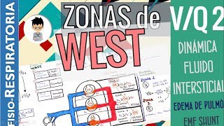 VQ ZONAS DE WEST FLUIDO INTERSTICIAL Edema de Pulmón Espacio Muerto Shunt FisioRespiratoria2 [upl. by Grania]