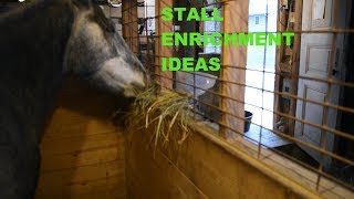 Stall Enrichment Ideas [upl. by Alyehs]