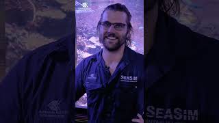 From an aquarist what makes marine science great [upl. by Yojal]