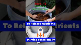 Comfrey Plant For Fertilizer Comfrey Tea For Plants part2 🤑 viralshorts shorts gardening [upl. by Audrit]