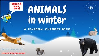 Animals in Winter Animal Adaptations Song [upl. by Judas]