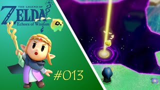 The Legend of Zelda  Echoes of Wisdom 🪄 013  Wir bereinigen den HyliaSee im Nichts [upl. by Aissilem]