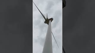 Windpark Querfurt Enercon und NEG Micon Anlagen [upl. by Yadrahc]